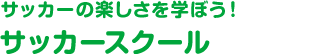 サッカーの楽しさを学ぼう！サッカースクール